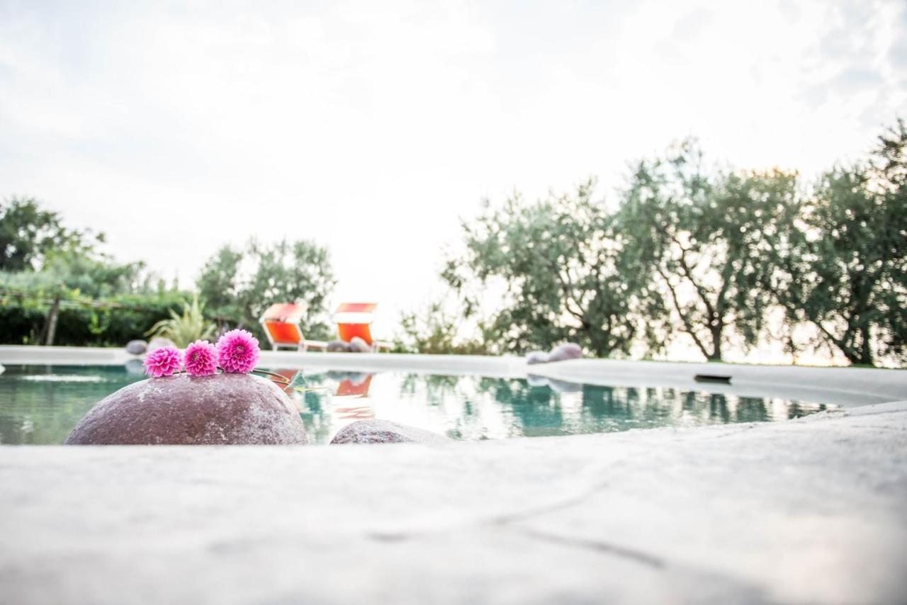 Agriturismo Il Grappolo Lazise Exteriör bild